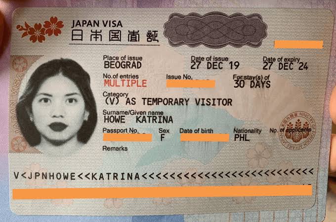 Japan digital nomad visa 